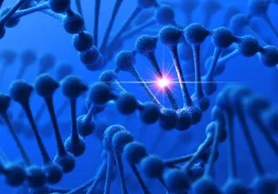 synonymous mutation bap1 kidney cancer clear-cell renal cell carcinoma